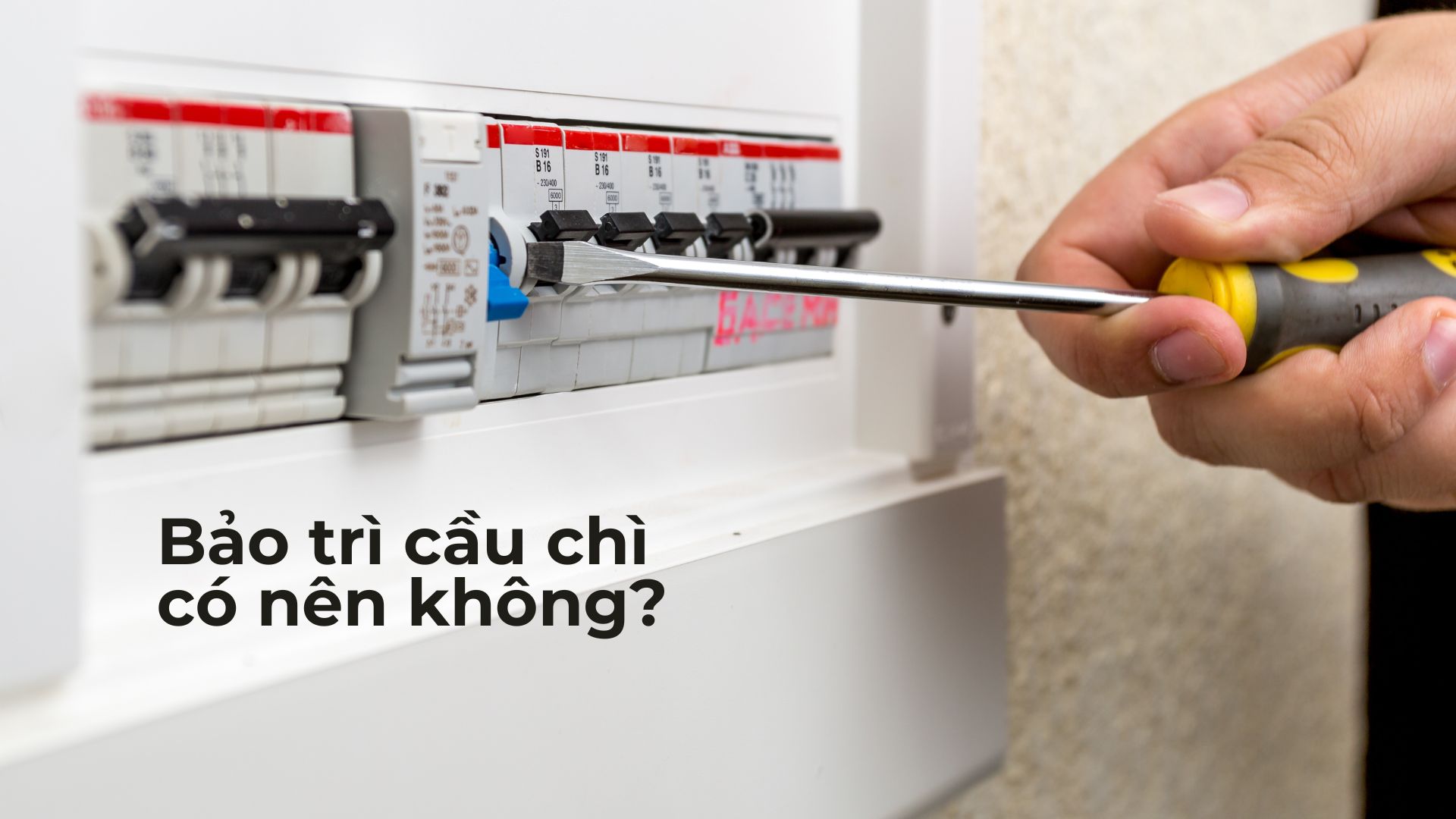 Bảo Trì Cầu Chì: Việc Nhỏ Nhưng Cực Kỳ Quan Trọng Trong Hệ Thống Điện