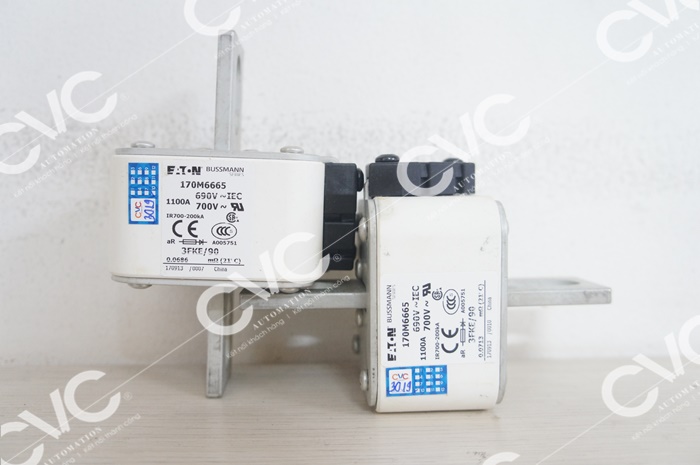 CẦU CHÌ BUSSMANN 170M6665