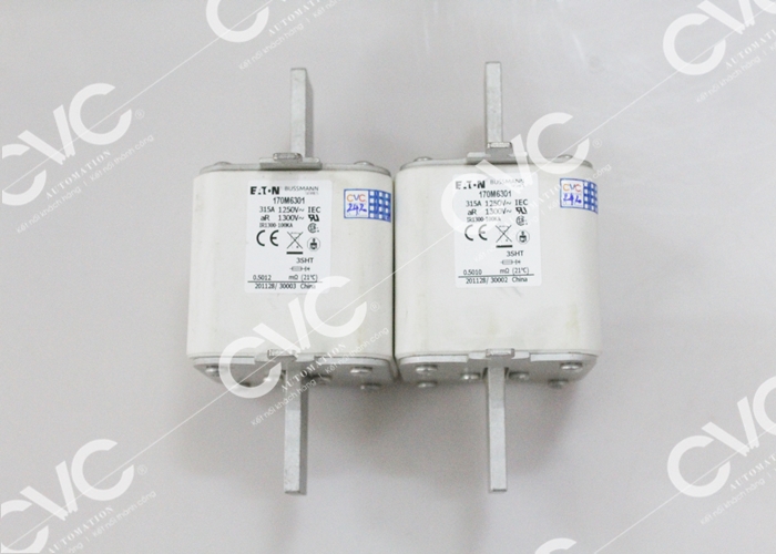 CẦU CHÌ BUSSMANN 170M6301