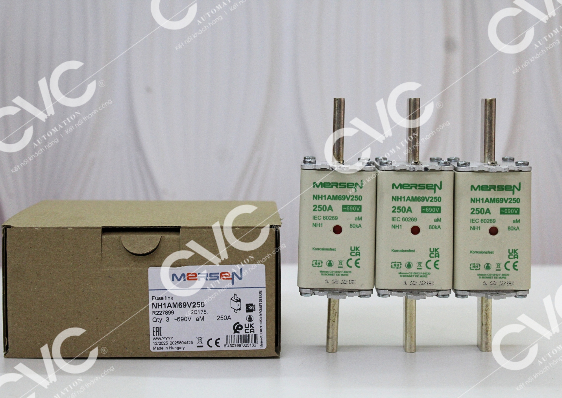 CẦU CHÌ  aM MERSEN NH1AM69V250